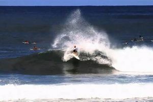 Your Pipeline Surf Report: Conditions & Forecast Today Learn to Surf & Skate: A Beginner's Step-by-Step Guide Your Pipeline Surf Report: Conditions & Forecast Today | Learn to Surf & Skate: A Beginner's Step-by-Step Guide