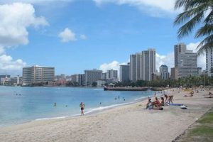 Queen's Surf Beach: Your Waikiki Beginner Surf Paradise! Learn to Surf & Skate: A Beginner's Step-by-Step Guide Queen's Surf Beach: Your Waikiki Beginner Surf Paradise! | Learn to Surf & Skate: A Beginner's Step-by-Step Guide