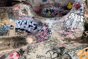 Exploring Creative Graffiti Skate Parks: Havens for Riders Learn to Surf & Skate: A Beginner's Step-by-Step Guide Exploring Creative Graffiti Skate Parks: Havens for Riders | Learn to Surf & Skate: A Beginner's Step-by-Step Guide
