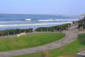 San Clemente Surf Report: CA Wave Forecast + Local Tips Learn to Surf & Skate: A Beginner's Step-by-Step Guide San Clemente Surf Report: CA Wave Forecast + Local Tips | Learn to Surf & Skate: A Beginner's Step-by-Step Guide
