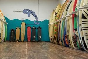 Gnarwall Surf Shop: Gear Up & Shred! | Learn to Surf & Skate: A Beginner's Step-by-Step Guide