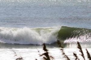 Kure Beach NC Surf Cam: Live Wave Watch + Beach View Learn to Surf & Skate: A Beginner's Step-by-Step Guide Kure Beach NC Surf Cam: Live Wave Watch + Beach View | Learn to Surf & Skate: A Beginner's Step-by-Step Guide