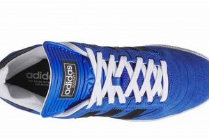 Best Adidas Skate Shoes [Year]: Styles & Reviews | Learn to Surf & Skate: A Beginner's Step-by-Step Guide