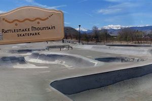Revitalize Your Skate Park: Expert Reno Solutions Learn to Surf & Skate: A Beginner's Step-by-Step Guide Revitalize Your Skate Park: Expert Reno Solutions | Learn to Surf & Skate: A Beginner's Step-by-Step Guide
