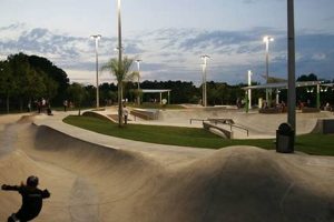 Best Skate Park Near Me: Your Local Spots! Learn to Surf & Skate: A Beginner's Step-by-Step Guide Best Skate Park Near Me: Your Local Spots! | Learn to Surf & Skate: A Beginner's Step-by-Step Guide