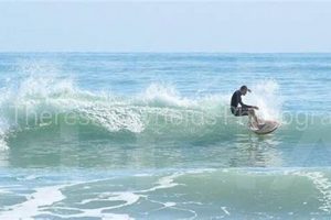 Your Fort Pierce, FL Surf Report: [Conditions + Tips] | Learn to Surf & Skate: A Beginner's Step-by-Step Guide
