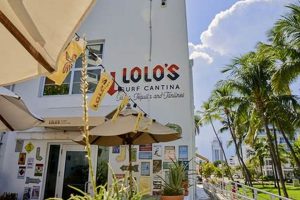 Lolo's Surf Cantina: Miami Beach's Best Latin Surf Vibe! Learn to Surf & Skate: A Beginner's Step-by-Step Guide Lolo's Surf Cantina: Miami Beach's Best Latin Surf Vibe! | Learn to Surf & Skate: A Beginner's Step-by-Step Guide