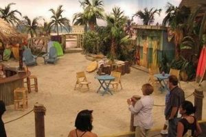 Dive In! Hannah Montana: Rico's Surf Shop & More Learn to Surf & Skate: A Beginner's Step-by-Step Guide Dive In! Hannah Montana: Rico's Surf Shop & More | Learn to Surf & Skate: A Beginner's Step-by-Step Guide