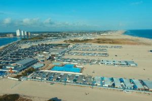 Escape to the Sun and Surf Beach Club Oasis Learn to Surf & Skate: A Beginner's Step-by-Step Guide Escape to the Sun and Surf Beach Club Oasis | Learn to Surf & Skate: A Beginner's Step-by-Step Guide