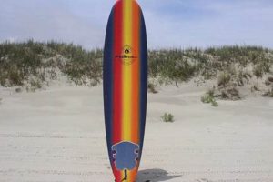 Rent Surfboards! Malibu Beach Surf Board Rentals Today Learn to Surf & Skate: A Beginner's Step-by-Step Guide Rent Surfboards! Malibu Beach Surf Board Rentals Today | Learn to Surf & Skate: A Beginner's Step-by-Step Guide