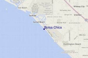 Get Your Bolsa Chica Surf Report Now! Learn to Surf & Skate: A Beginner's Step-by-Step Guide Get Your Bolsa Chica Surf Report Now! | Learn to Surf & Skate: A Beginner's Step-by-Step Guide