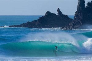 Surfline Surf City Learn to Surf & Skate: A Beginner's Step-by-Step Guide Surfline Surf City | Learn to Surf & Skate: A Beginner's Step-by-Step Guide