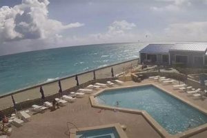 Fort Lauderdale Surf Report: Waves Now + Beach Forecast Learn to Surf & Skate: A Beginner's Step-by-Step Guide Fort Lauderdale Surf Report: Waves Now + Beach Forecast | Learn to Surf & Skate: A Beginner's Step-by-Step Guide