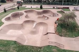 Your Best Skate Shop in Knoxville, TN Learn to Surf & Skate: A Beginner's Step-by-Step Guide Your Best Skate Shop in Knoxville, TN | Learn to Surf & Skate: A Beginner's Step-by-Step Guide