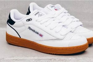 Best Reebok Skate Shoes: Style & Performance Learn to Surf & Skate: A Beginner's Step-by-Step Guide Best Reebok Skate Shoes: Style & Performance | Learn to Surf & Skate: A Beginner's Step-by-Step Guide