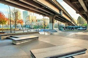 Explore Vancouver Skate Parks: Best Local Spots & More Learn to Surf & Skate: A Beginner's Step-by-Step Guide Explore Vancouver Skate Parks: Best Local Spots & More | Learn to Surf & Skate: A Beginner's Step-by-Step Guide
