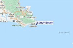Hawaii Surf: Sandy Beach Hawaii Surf Report & Forecast Learn to Surf & Skate: A Beginner's Step-by-Step Guide Hawaii Surf: Sandy Beach Hawaii Surf Report & Forecast | Learn to Surf & Skate: A Beginner's Step-by-Step Guide