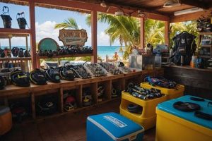 Your Guide: Surf Shop Puerto Rico Spots & Gear Learn to Surf & Skate: A Beginner's Step-by-Step Guide Your Guide: Surf Shop Puerto Rico Spots & Gear | Learn to Surf & Skate: A Beginner's Step-by-Step Guide