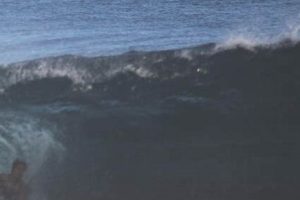 Your Waipio Surf Report: [Current Conditions] + Forecast | Learn to Surf & Skate: A Beginner's Step-by-Step Guide