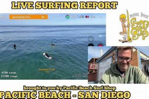 Your PB Surf Report: Conditions & Forecasts Learn to Surf & Skate: A Beginner's Step-by-Step Guide Your PB Surf Report: Conditions & Forecasts | Learn to Surf & Skate: A Beginner's Step-by-Step Guide