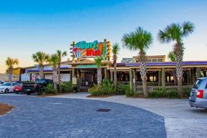 Destin, FL Surf Shops: Gear, Rentals & More! Learn to Surf & Skate: A Beginner's Step-by-Step Guide Destin, FL Surf Shops: Gear, Rentals & More! | Learn to Surf & Skate: A Beginner's Step-by-Step Guide
