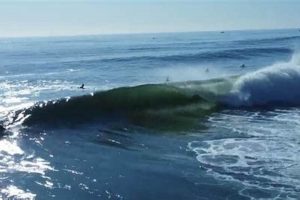 Your Bradley Beach Surf Report: Waves & Conditions Now! Learn to Surf & Skate: A Beginner's Step-by-Step Guide Your Bradley Beach Surf Report: Waves & Conditions Now! | Learn to Surf & Skate: A Beginner's Step-by-Step Guide