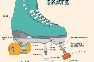 Understanding Roller Skate Parts: A Beginner's Guide Learn to Surf & Skate: A Beginner's Step-by-Step Guide Understanding Roller Skate Parts: A Beginner's Guide | Learn to Surf & Skate: A Beginner's Step-by-Step Guide