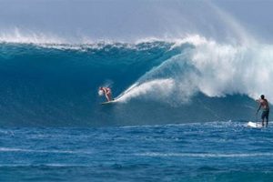 Makaha Surf Report: Today's Waves & Surf Conditions Now Learn to Surf & Skate: A Beginner's Step-by-Step Guide Makaha Surf Report: Today's Waves & Surf Conditions Now | Learn to Surf & Skate: A Beginner's Step-by-Step Guide