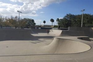 Your Guide to Skate Parks in Orlando, FL | Best Spots Learn to Surf & Skate: A Beginner's Step-by-Step Guide Your Guide to Skate Parks in Orlando, FL | Best Spots | Learn to Surf & Skate: A Beginner's Step-by-Step Guide