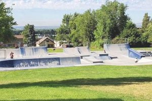 Visit Ogden Skate Park: A Local's Guide & Tips Learn to Surf & Skate: A Beginner's Step-by-Step Guide Visit Ogden Skate Park: A Local's Guide & Tips | Learn to Surf & Skate: A Beginner's Step-by-Step Guide