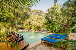Your Guide: Costa Rica Surf Hotel Guide & Resorts Learn to Surf & Skate: A Beginner's Step-by-Step Guide Your Guide: Costa Rica Surf Hotel Guide & Resorts | Learn to Surf & Skate: A Beginner's Step-by-Step Guide