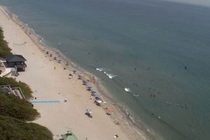 Live Boca Inlet Surf Cam: View Conditions Now! Learn to Surf & Skate: A Beginner's Step-by-Step Guide Live Boca Inlet Surf Cam: View Conditions Now! | Learn to Surf & Skate: A Beginner's Step-by-Step Guide