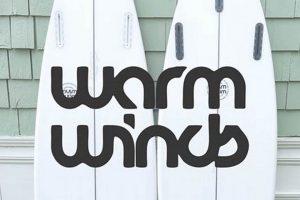 Visit Warm Winds Surf Shop: Your Board Awaits! Learn to Surf & Skate: A Beginner's Step-by-Step Guide Visit Warm Winds Surf Shop: Your Board Awaits! | Learn to Surf & Skate: A Beginner's Step-by-Step Guide