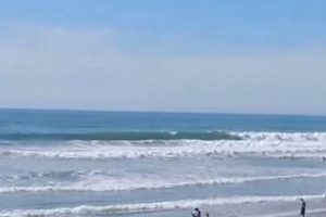 Del Mar Surf Cam: Live Beach Views + Conditions Learn to Surf & Skate: A Beginner's Step-by-Step Guide Del Mar Surf Cam: Live Beach Views + Conditions | Learn to Surf & Skate: A Beginner's Step-by-Step Guide