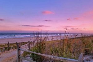 Surf City LBI: Your Guide to Long Beach Island, NJ Learn to Surf & Skate: A Beginner's Step-by-Step Guide Surf City LBI: Your Guide to Long Beach Island, NJ | Learn to Surf & Skate: A Beginner's Step-by-Step Guide