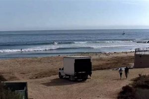 Your Venice CA Surf Report: Conditions & Forecast Learn to Surf & Skate: A Beginner's Step-by-Step Guide Your Venice CA Surf Report: Conditions & Forecast | Learn to Surf & Skate: A Beginner's Step-by-Step Guide