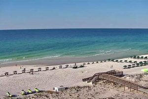 Your Guide: Melbourne Beach FL Surf Report Today + Tips Learn to Surf & Skate: A Beginner's Step-by-Step Guide Your Guide: Melbourne Beach FL Surf Report Today + Tips | Learn to Surf & Skate: A Beginner's Step-by-Step Guide