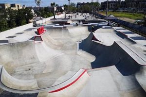 Your Guide: Vans Skate Park Fun + Tips Learn to Surf & Skate: A Beginner's Step-by-Step Guide Your Guide: Vans Skate Park Fun + Tips | Learn to Surf & Skate: A Beginner's Step-by-Step Guide