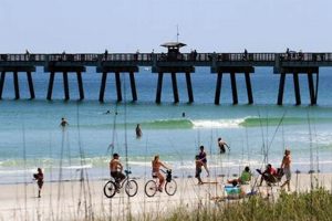 Your Guide to Surfing Jacksonville Beach, FL Waves Learn to Surf & Skate: A Beginner's Step-by-Step Guide Your Guide to Surfing Jacksonville Beach, FL Waves | Learn to Surf & Skate: A Beginner's Step-by-Step Guide