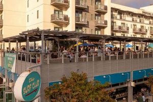 Best Surf Club Oceanside Restaurant: [Location] Guide | Learn to Surf & Skate: A Beginner's Step-by-Step Guide