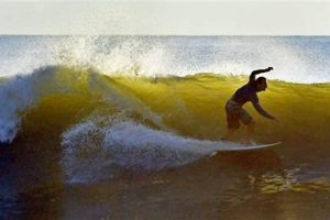 Hightower Surf Cam: Watch Live + Surf Report Learn to Surf & Skate: A Beginner's Step-by-Step Guide Hightower Surf Cam: Watch Live + Surf Report | Learn to Surf & Skate: A Beginner's Step-by-Step Guide