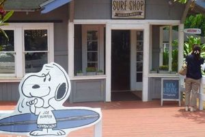 Snoopy's Surf Shop: Your Local Surf Shop Experts Learn to Surf & Skate: A Beginner's Step-by-Step Guide Snoopy's Surf Shop: Your Local Surf Shop Experts | Learn to Surf & Skate: A Beginner's Step-by-Step Guide