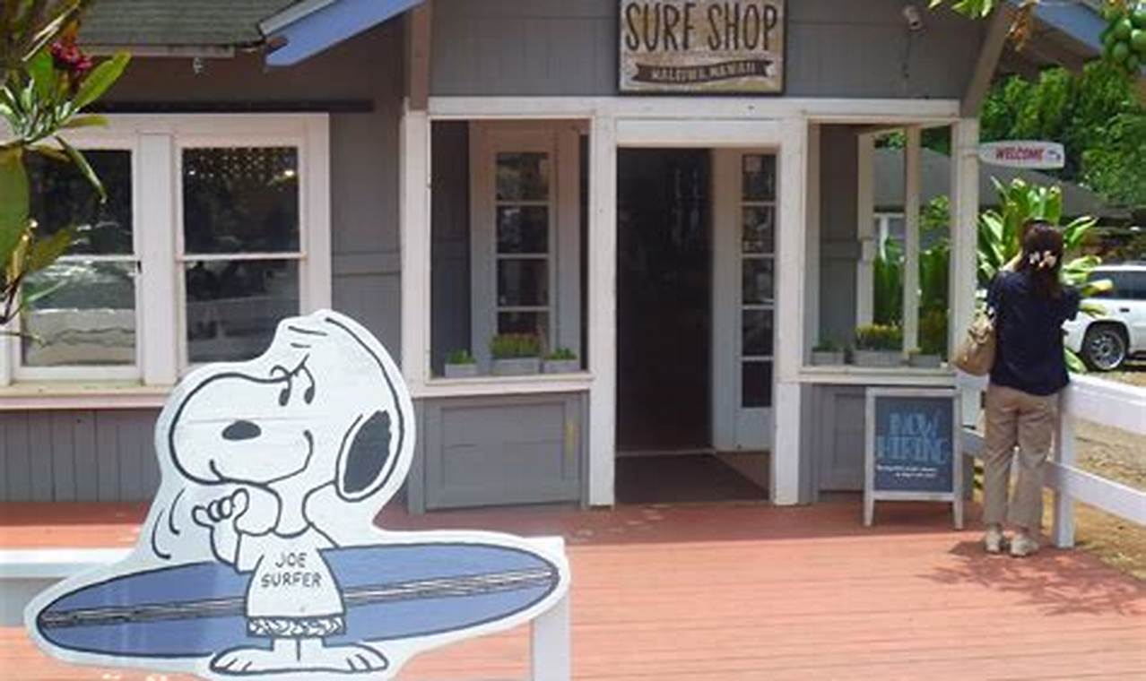 Snoopy's Surf Shop: Your Local Surf Shop Experts Learn to Surf & Skate: A Beginner's Step-by-Step Guide Snoopy's Surf Shop: Your Local Surf Shop Experts | Learn to Surf & Skate: A Beginner's Step-by-Step Guide