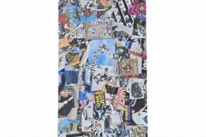 Your Local Animal Chin Skate Shop HQ - [City/Region] | Learn to Surf & Skate: A Beginner's Step-by-Step Guide