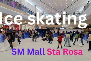 Discover Santa Rosa Ice Skate Fun + Tips! Learn to Surf & Skate: A Beginner's Step-by-Step Guide Discover Santa Rosa Ice Skate Fun + Tips! | Learn to Surf & Skate: A Beginner's Step-by-Step Guide