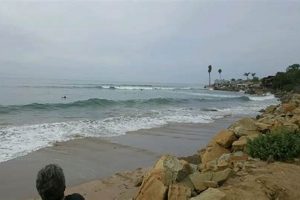 Mondos Beach Surf Report: Get Today's Surf Conditions! Learn to Surf & Skate: A Beginner's Step-by-Step Guide Mondos Beach Surf Report: Get Today's Surf Conditions! | Learn to Surf & Skate: A Beginner's Step-by-Step Guide