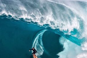 Epic Surfing Large Waves: Ride Giants & Stay Safe | Learn to Surf & Skate: A Beginner's Step-by-Step Guide