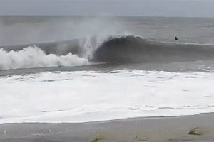 Your Delaware Surf Report: Waves & Weather Now Learn to Surf & Skate: A Beginner's Step-by-Step Guide Your Delaware Surf Report: Waves & Weather Now | Learn to Surf & Skate: A Beginner's Step-by-Step Guide