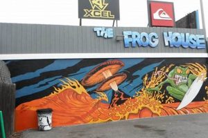 Your Froghouse Surf Shop: Gear, Rentals & More! Learn to Surf & Skate: A Beginner's Step-by-Step Guide Your Froghouse Surf Shop: Gear, Rentals & More! | Learn to Surf & Skate: A Beginner's Step-by-Step Guide