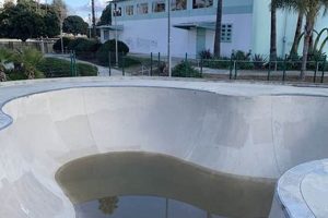 Visit Alondra Skate Park: Your Guide to Skateboarding Fun! Learn to Surf & Skate: A Beginner's Step-by-Step Guide Visit Alondra Skate Park: Your Guide to Skateboarding Fun! | Learn to Surf & Skate: A Beginner's Step-by-Step Guide